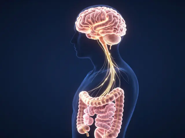 Gut Health and Mental Wellness: How Your Digestion Controls Mood and Energy